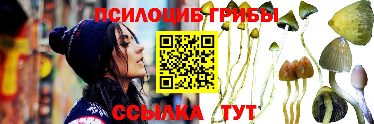 Галлюциногенные грибы прущие грибы  Вход с VPN  Урюпинск 